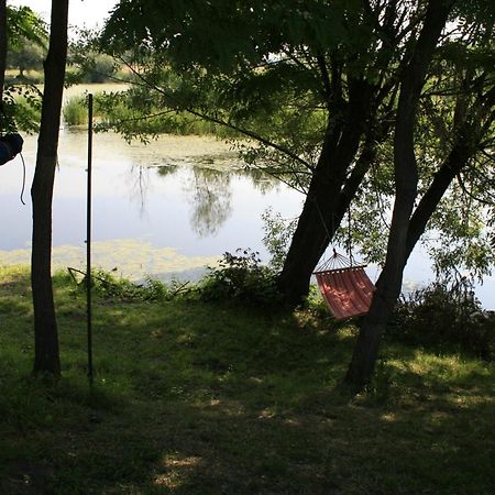 Albinuta Guesthouse Ozun Dış mekan fotoğraf