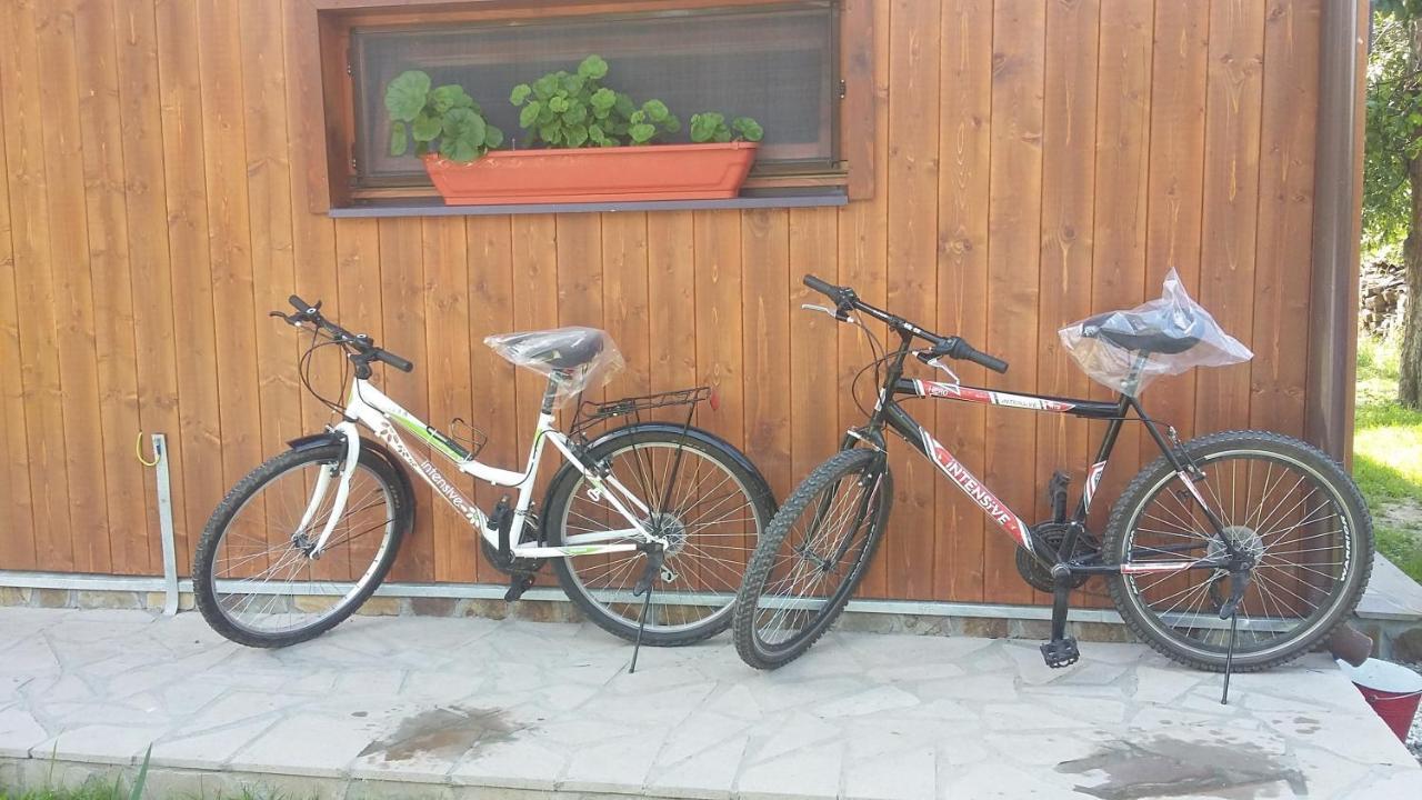 Albinuta Guesthouse Ozun Dış mekan fotoğraf